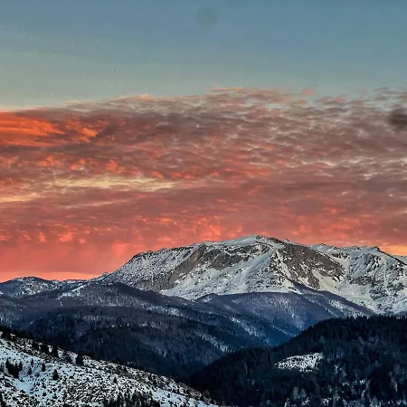 Daire Kucica Na Brdu *